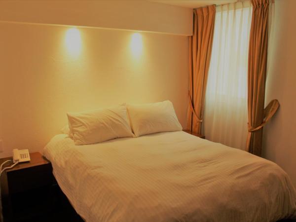 Condesa Suites : photo 2 de la chambre loft