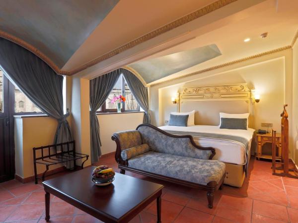 Sultanahmet Palace Hotel : photo 3 de la chambre deluxe room with blue mosque view 