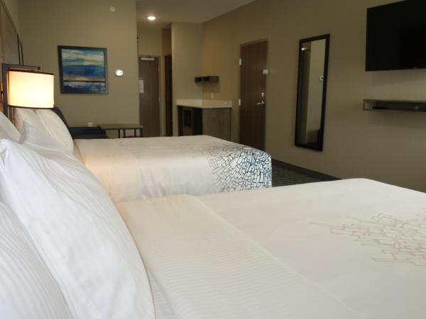 La Quinta by Wyndham San Antonio Alamo City : photo 5 de la chambre chambre deluxe avec 2 lits queen-size - non-fumeurs