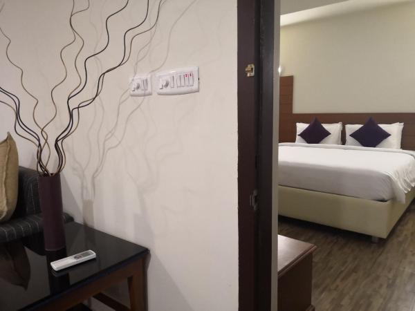 Hotel Presidency : photo 9 de la chambre suite