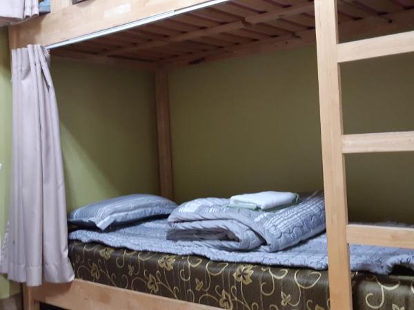 Birdsnest Hostel Hongdae Foreigner only : photo 5 de la chambre lit dans dortoir pour femmes de 4 lits