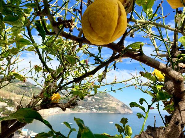 Villa Egidio : photo 5 de la chambre chambre double - vue sur jardin