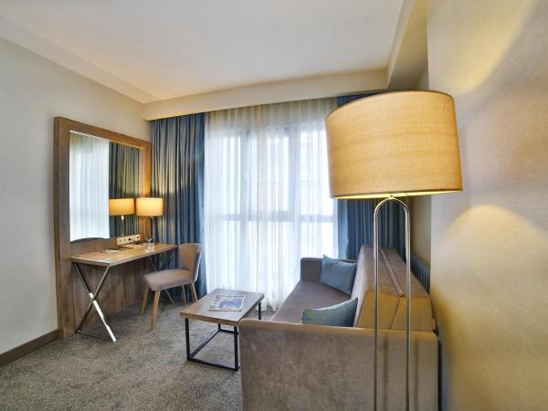 ibis Styles Istanbul Bomonti : photo 7 de la chambre chambre double supérieure