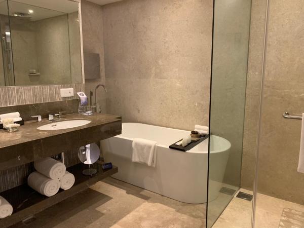 Hyatt Regency Ahmedabad : photo 6 de la chambre suite lit king-size