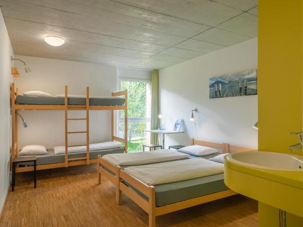 Backpackers Villa Sonnenhof - Hostel Interlaken : photo 1 de la chambre chambre triple
