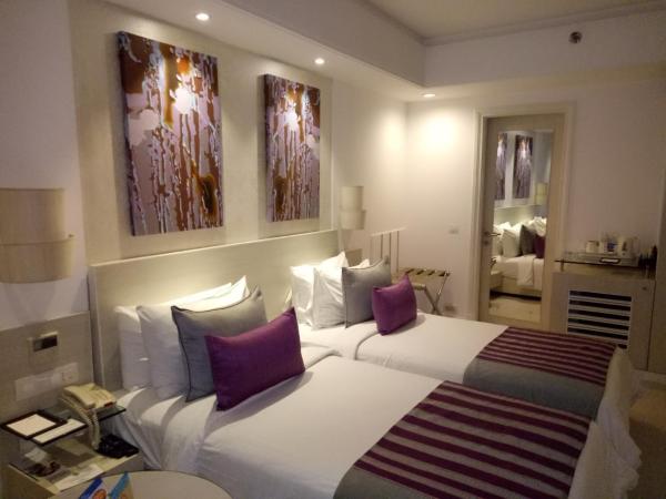 The Ashtan Sarovar Portico : photo 7 de la chambre chambre double ou lits jumeaux supérieure