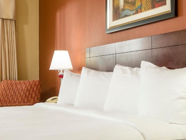 Hotel Boston : photo 7 de la chambre chambre standard avec 2 lits queen-size