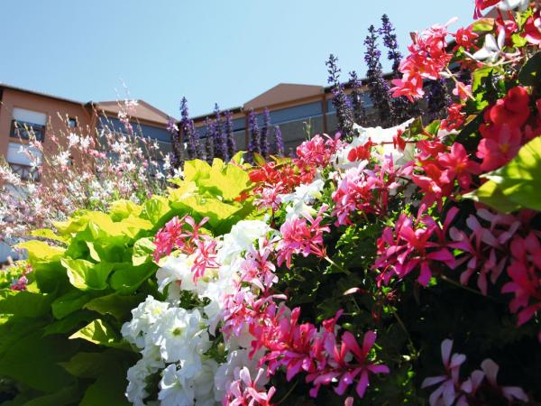 LES TERRASSES DE BORDA*** : photo 2 de la chambre appartement avec balcon