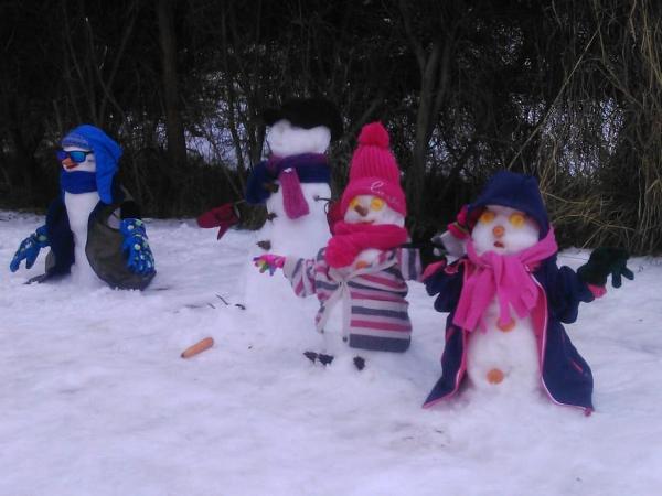 Cabaña Un Mundo nuevo : photo 3 de la chambre chalet 2 chambres