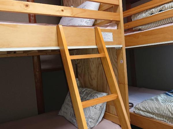 GUEST HOUSE SaKURa : photo 2 de la chambre lit superposé dans dortoir pour femmes 
