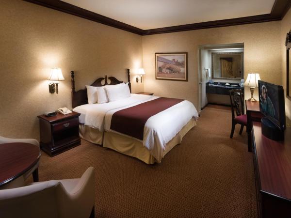 Safi Royal Luxury Centro : photo 3 de la chambre chambre lit king-size jardin