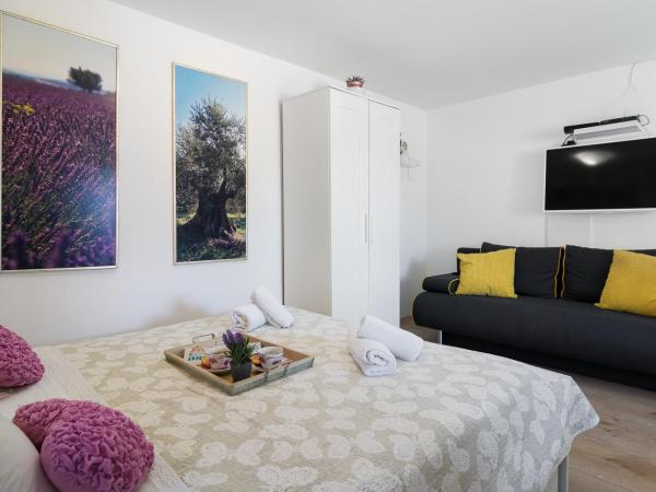 Guest House Babina - Apartments King & Queen : photo 5 de la chambre studio supérieur