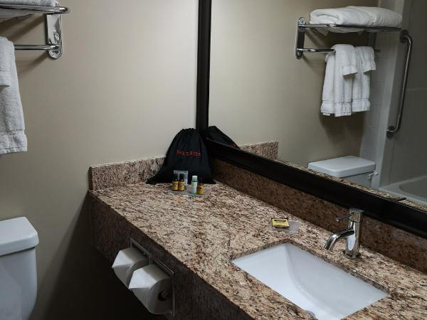 Best Western Plus Red Deer Inn & Suite : photo 6 de la chambre chambre avec 2 grands lits queen-size 