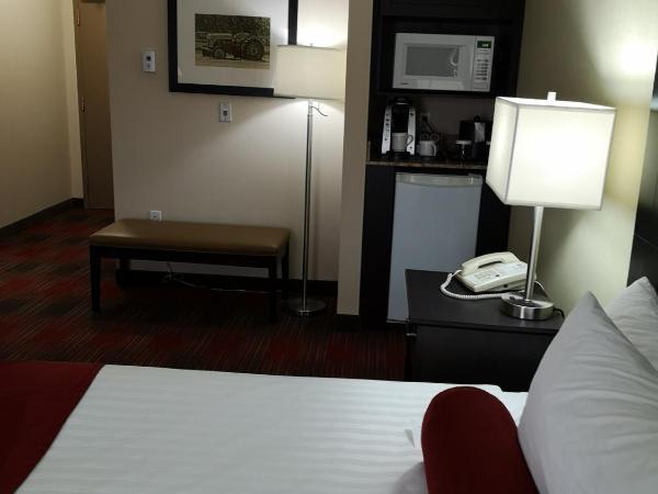 Best Western Plus Red Deer Inn & Suite : photo 3 de la chambre chambre lit queen-size avec douche accessible en fauteuil roulant - accessible aux personnes à mobilité réduite/non-fumeurs