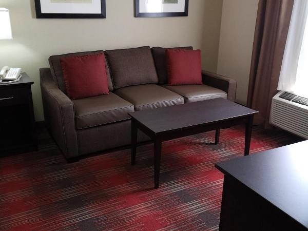 Best Western Plus Red Deer Inn & Suite : photo 9 de la chambre chambre king avec cuisine