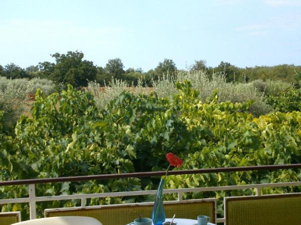 Pansion Villa Margerita : photo 1 de la chambre chambre double avec balcon