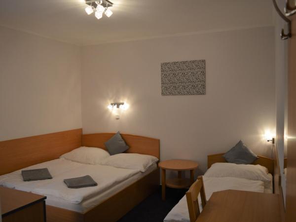 Alfréd Panzió : photo 1 de la chambre chambre triple