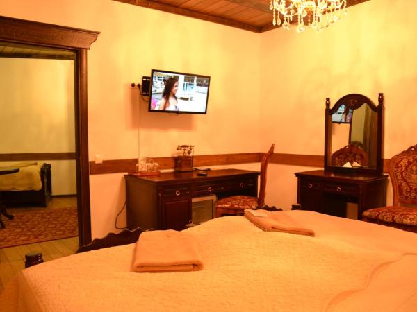 Zámek Lužec Spa & Wellness Resort : photo 2 de la chambre chambre triple de luxe avec lits jumeaux
