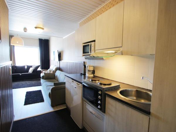 Hotel Hullu Poro : photo 2 de la chambre appartement 2 chambres avec loft et sauna