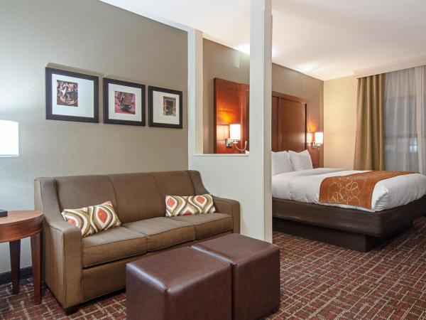 Comfort Suites NW Dallas Near Love Field : photo 4 de la chambre suite lit king-size - non-fumeurs/couloir intérieur