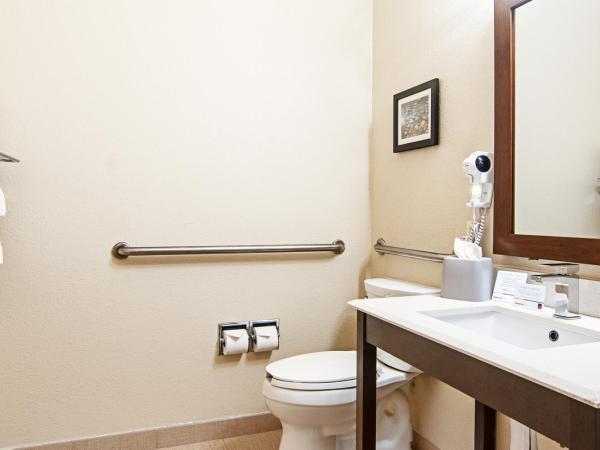 Comfort Suites NW Dallas Near Love Field : photo 1 de la chambre suite lit king-size - accessible aux personnes à mobilité réduite - non-fumeurs