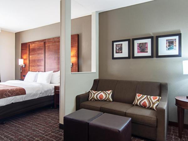 Comfort Suites NW Dallas Near Love Field : photo 5 de la chambre suite lit king-size - accessible aux personnes à mobilité réduite - non-fumeurs