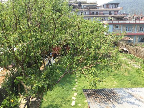 Nepalaya Eco Hostel : photo 3 de la chambre dortoir mixte de 6 lits