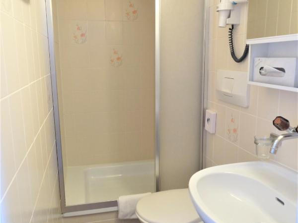 Hotel Bündnerhof : photo 5 de la chambre chambre simple standard