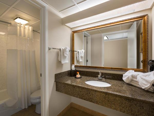 Coral Beach Resort : photo 3 de la chambre chambre avec coin cuisine et 2 lits queen-size - vue sur océan