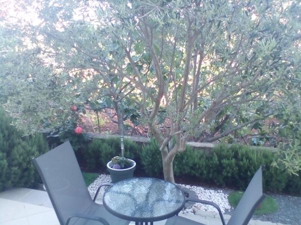 Ana Rooms : photo 2 de la chambre chambre double confort avec terrasse