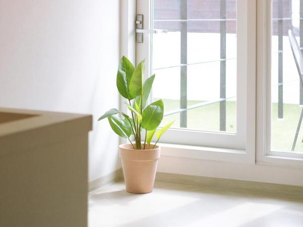 Neat House : photo 3 de la chambre bungalow familial