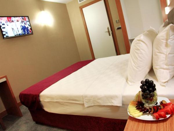 Helikon Business Hotel : photo 7 de la chambre chambre double ou lits jumeaux Économique