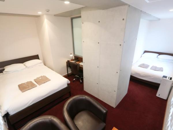 Business Capsule Hotel Lightning Hotel Asakusa : photo 2 de la chambre chambre lits jumeaux supérieure - vue sur ville