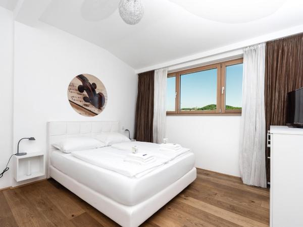 Amedeo Zotti Residence Salzburg : photo 7 de la chambre penthouse