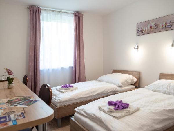 Vivien Szálló : photo 2 de la chambre chambre lits jumeaux standard