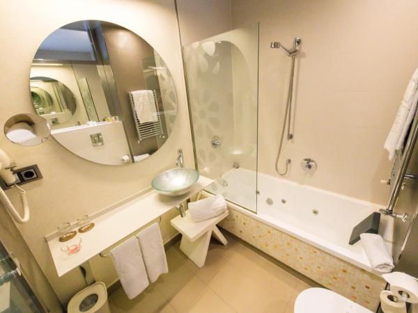 Hotel & Spa Princesa Munia : photo 3 de la chambre chambre double Économique