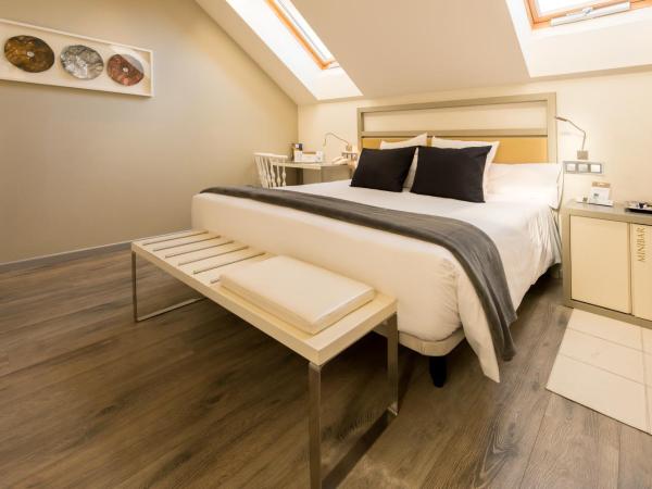 Hotel & Spa Princesa Munia : photo 4 de la chambre suite junior