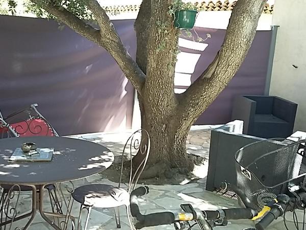 ChambreStudio bord de mer, Piscine et SPA : photo 10 de la chambre chambre deluxe (2 adultes + 1 enfant)