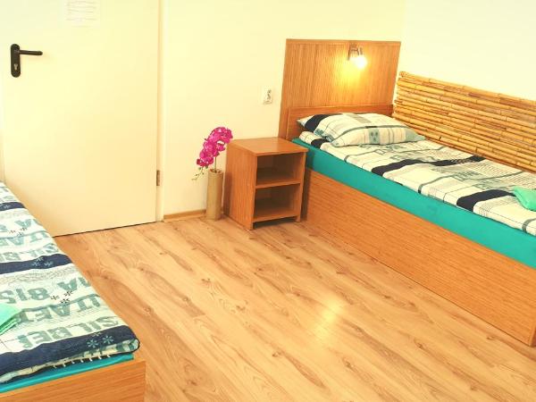 Pension Haus Baron 1 Neckarau : photo 6 de la chambre chambre double Économique