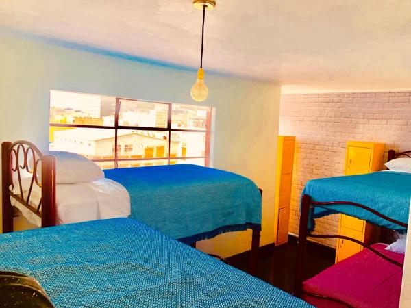 Casa Eufemia Hostel type : photo 7 de la chambre lit dans dortoir mixte de 6 lits