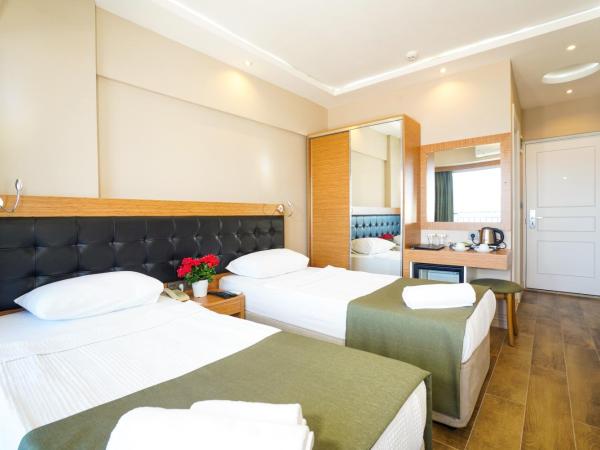 Aurasia Sea Side Hotel : photo 1 de la chambre chambre double standard