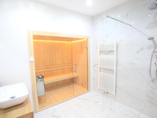 Zollikof Aparts - Sauna & Studioapartments : photo 2 de la chambre appartement supérieur avec sauna