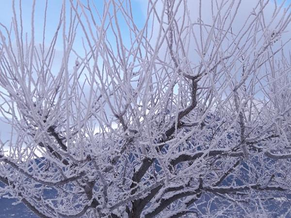 La locanda del Mulino : photo 10 de la chambre chambre double avec salle de bains privative