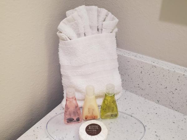 Palace Inn Blue Tomball Parkway : photo 2 de la chambre suite lit king-size