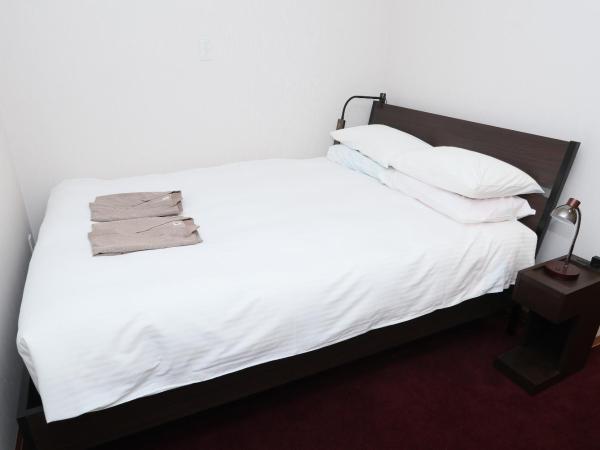 Business Capsule Hotel Lightning Hotel Asakusa : photo 1 de la chambre chambre double deluxe