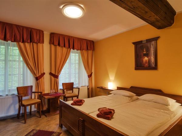 Pension Pod Radnicí : photo 5 de la chambre chambre double