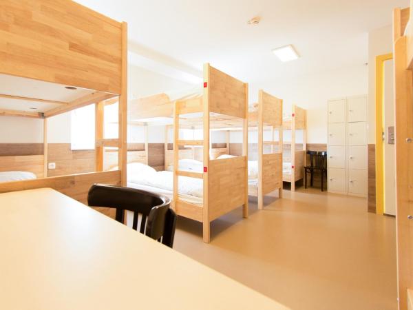 Hostel The Globe : photo 2 de la chambre lits superposés en dortoir mixte (10 adultes)