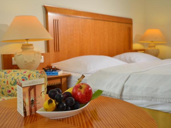 Hotel Domicil Berlin by Golden Tulip : photo 9 de la chambre chambre lits jumeaux standard