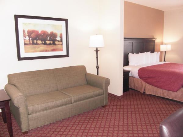 Country Inn & Suites by Radisson, Oklahoma City at Northwest Expressway, OK : photo 5 de la chambre suite 1 chambre lit king-size avec canapé-lit