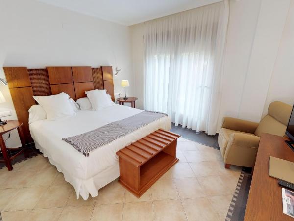 Hotel Boutique MR Palau Verd - Adults Only : photo 9 de la chambre chambre double ou lits jumeaux supérieure